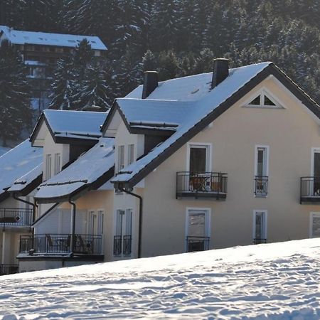 Die Grosszuegige Apartment Willingen  Exterior photo