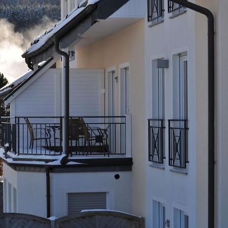 Die Grosszuegige Apartment Willingen  Exterior photo